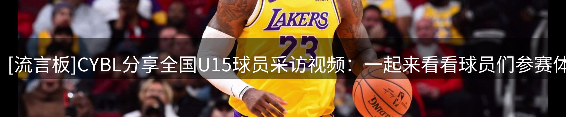 公司观察